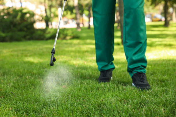 Best Wasp Removal Services  in Spruce Pine, NC