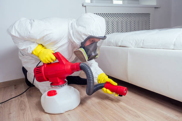 Best Local Pest Control Services  in Spruce Pine, NC