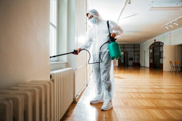Best Best Pest Control Companies  in Spruce Pine, NC